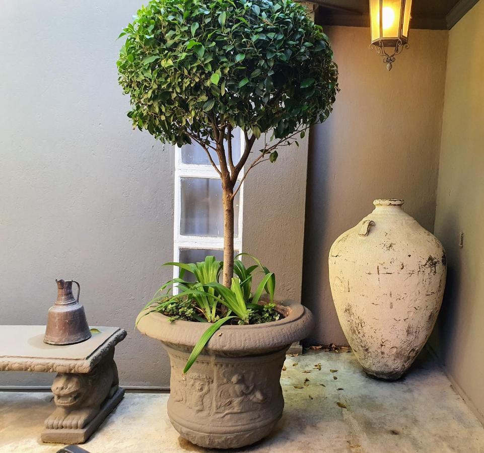 梧桐街沃特豪斯公寓 Pretoria-Noord 外观 照片
